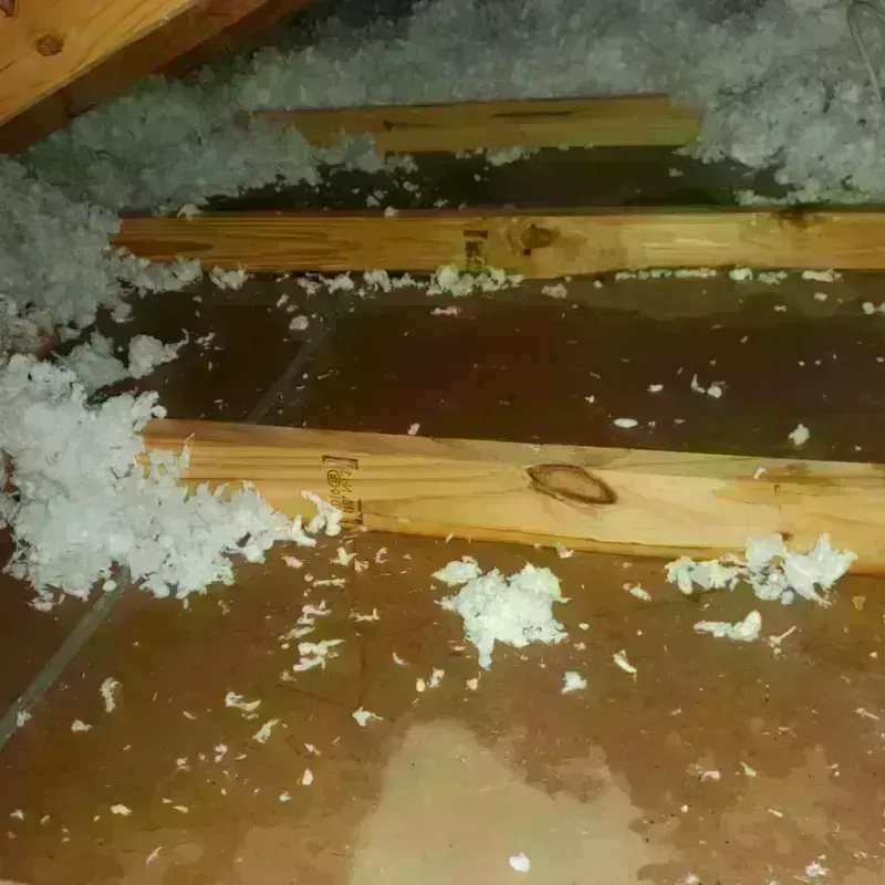 Attic Water Damage in Clear Lake, WA